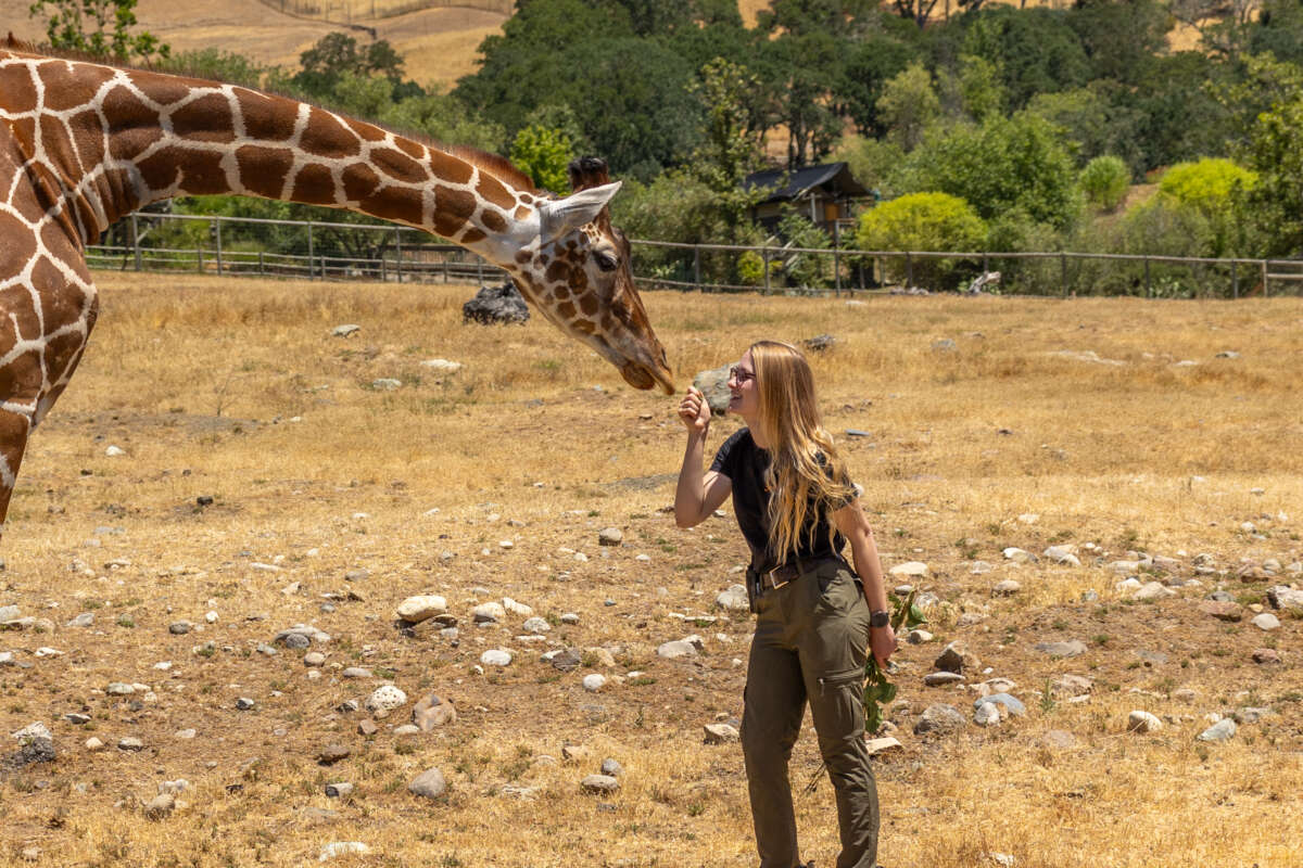 Ellie with Giraffe