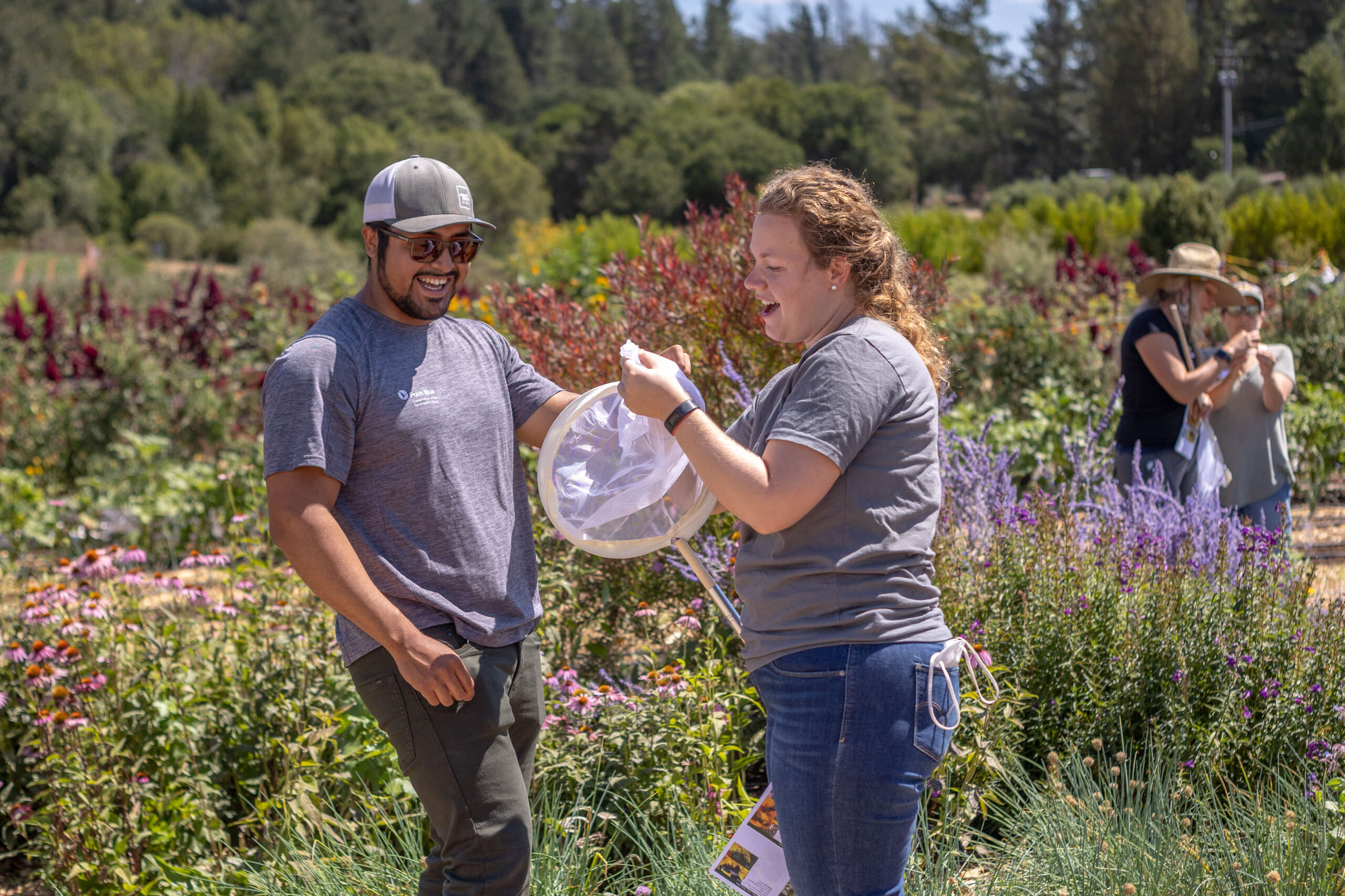 Point Blue and Xerces Society staff catch a native pollinator! Photo Credit: Mark Pressler