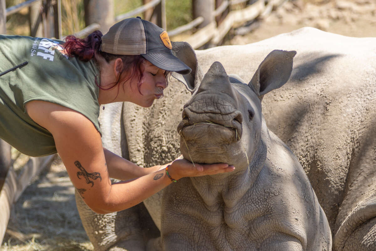 Kate with a rhino