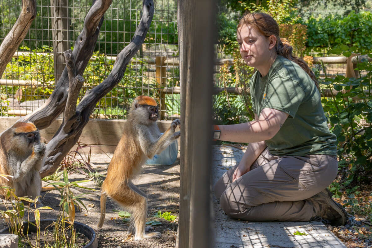 Bailey with a Patas Monkey