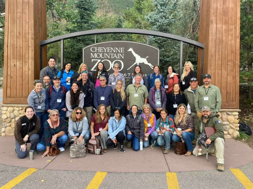 Giraffe Workshop Group