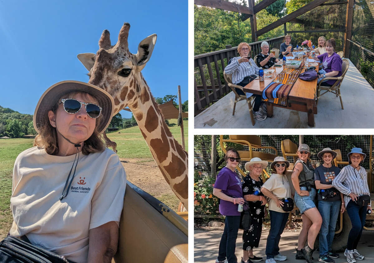 Paula Ewing Safari West Experience