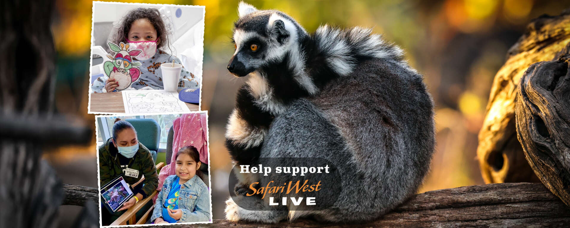 Group Business with lemur, kids, and Safari West Live
