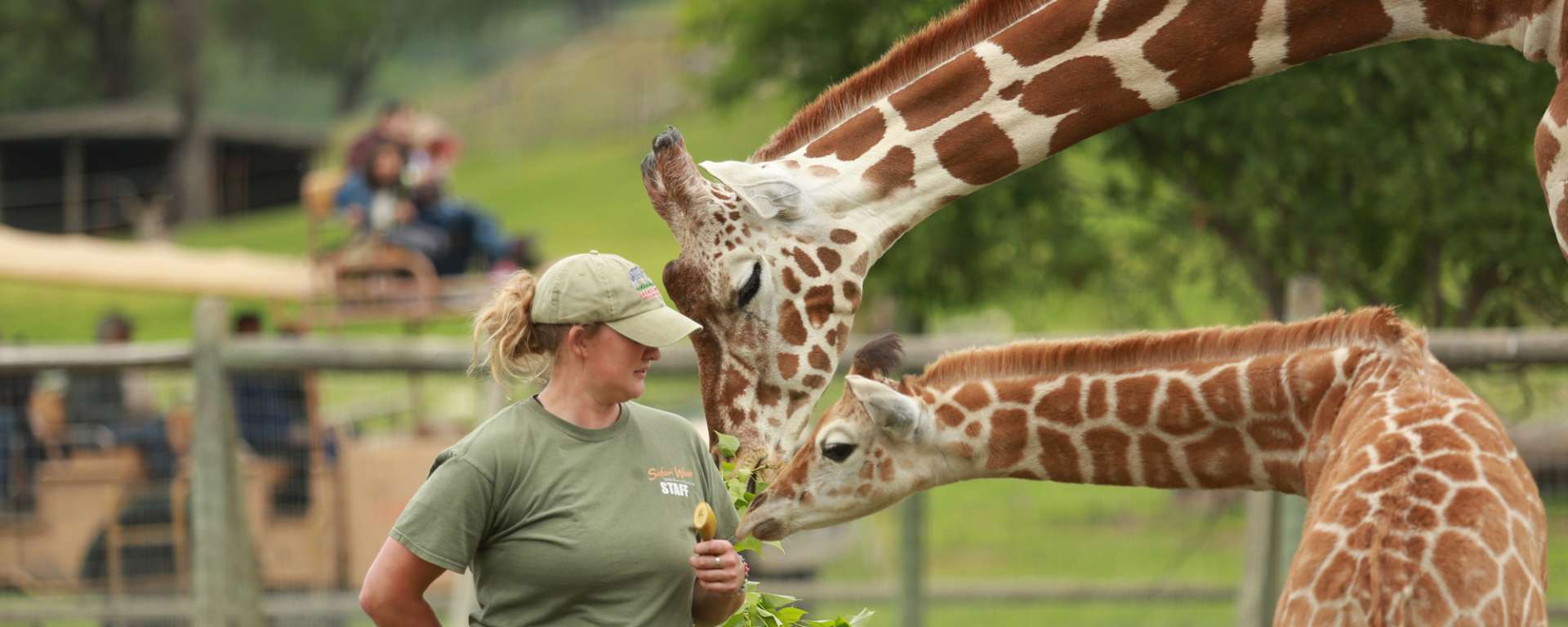 Join us in Celebrating National Zoo Keeper Week! - Safari West