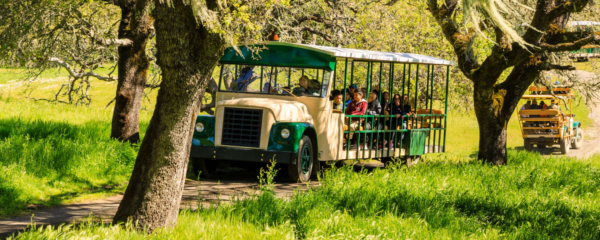 Safari West Field Trip by Carl Willits