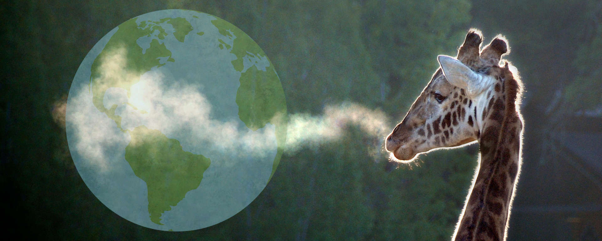 Giraffe Breath Earth