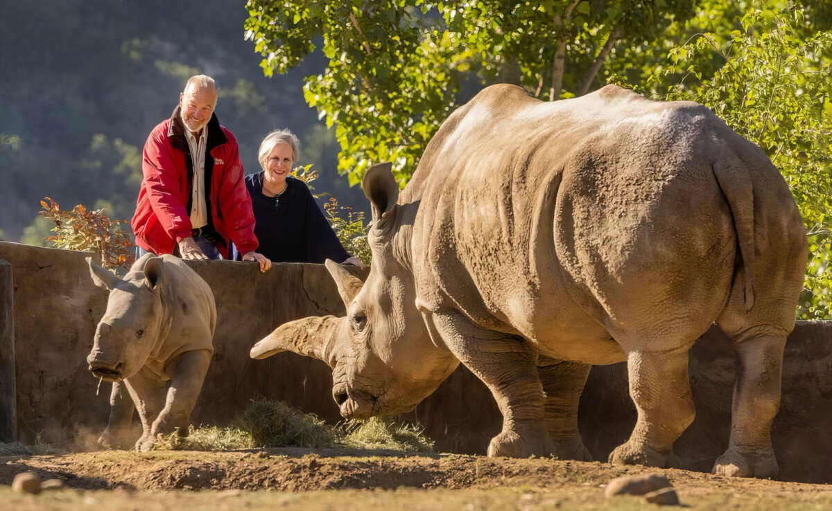 Nancy and Peter with Otto the Rhino