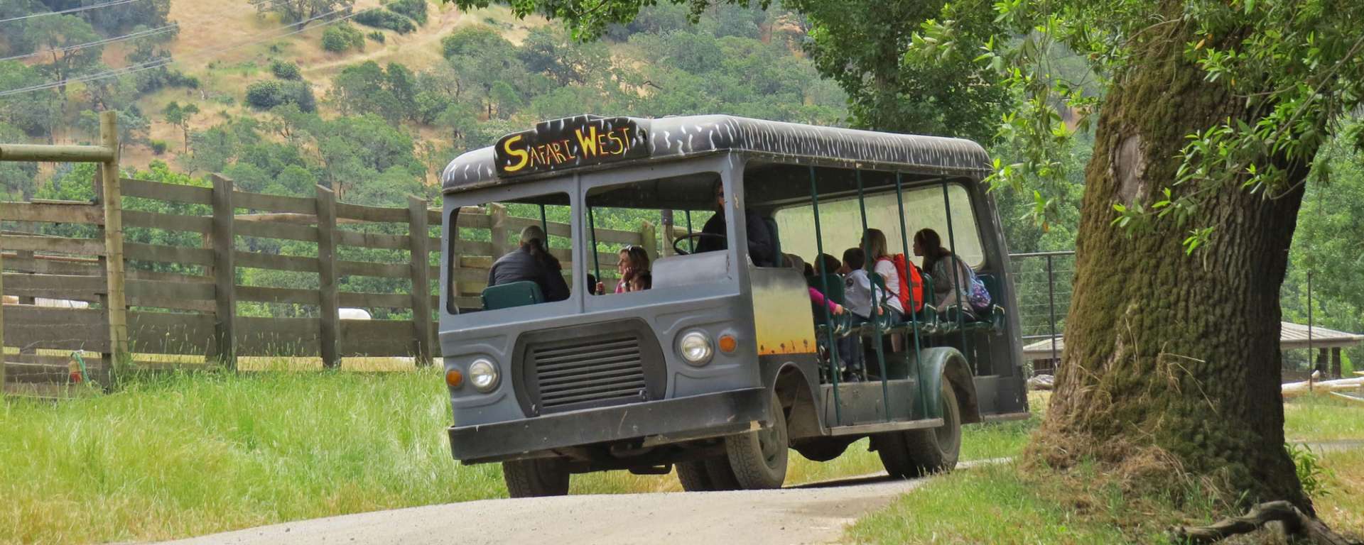Nairobi Bus Trek