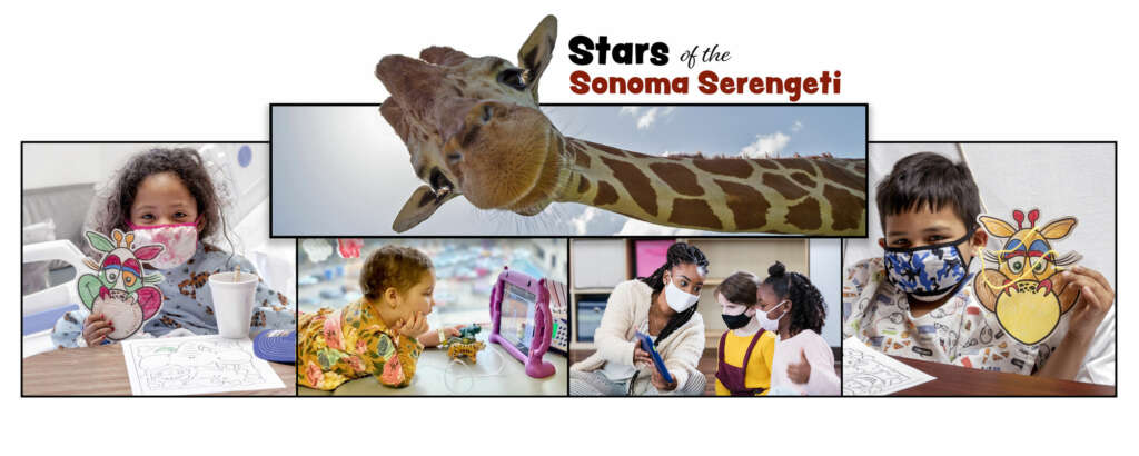 Stars of the Sonoma Serengeti Main Image Hero