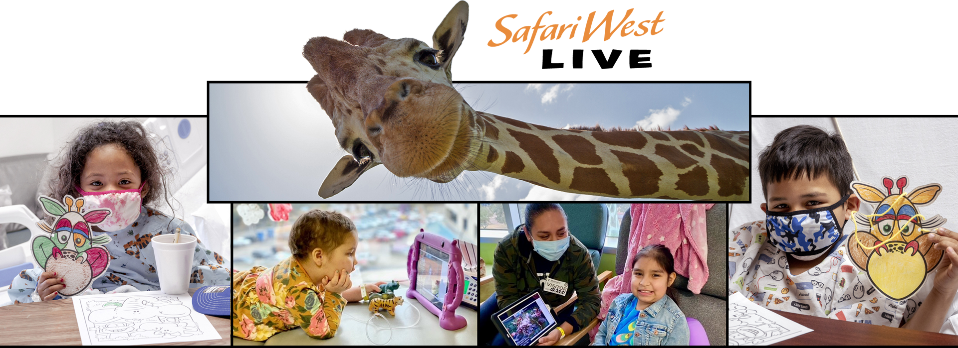 Safari West Live